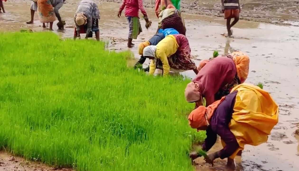 उत्तराखंड के ये 5 हिल स्टेशन