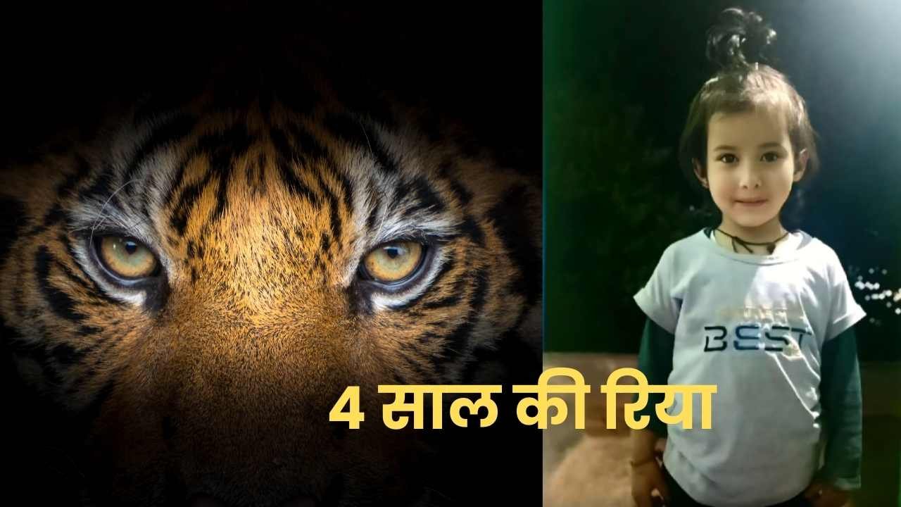गुलदार हमला उत्तराखंड