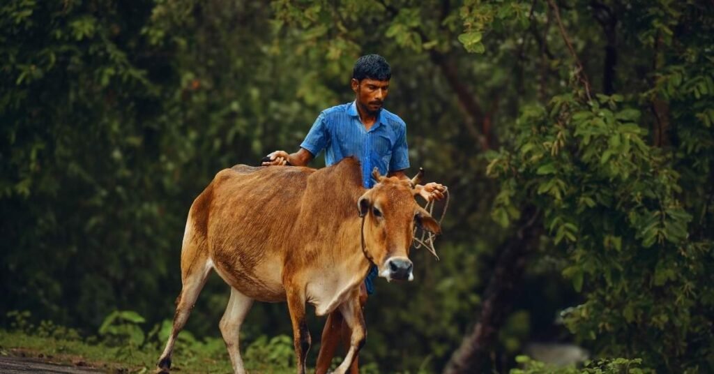 उत्तराखंड पशुपालन विभाग की योजनाएं
