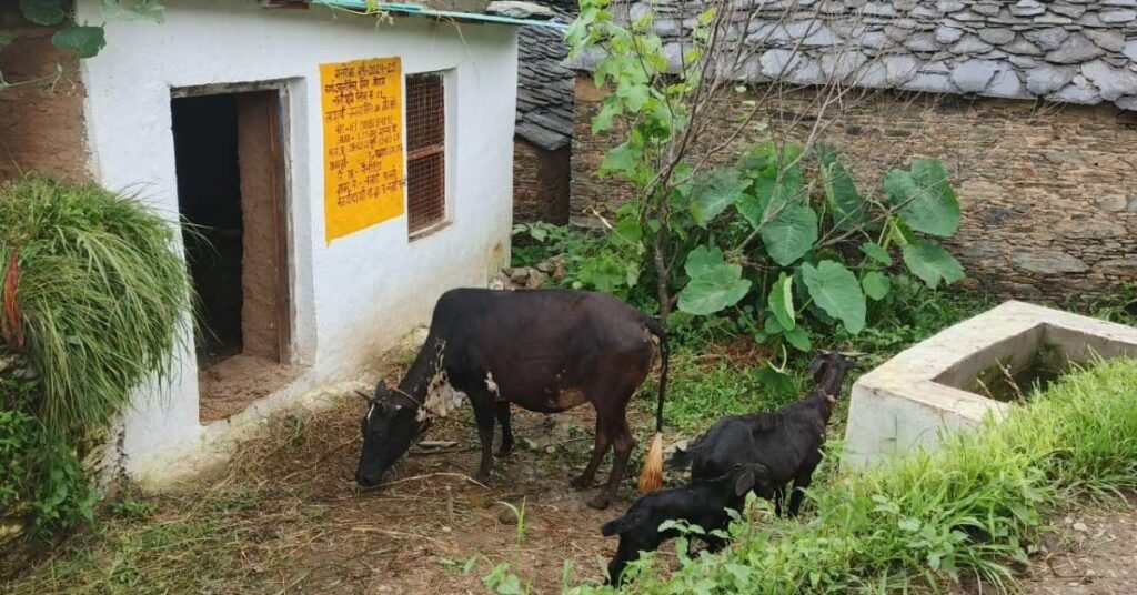 उत्तराखंड पशुपालन विभाग की योजनाएं 