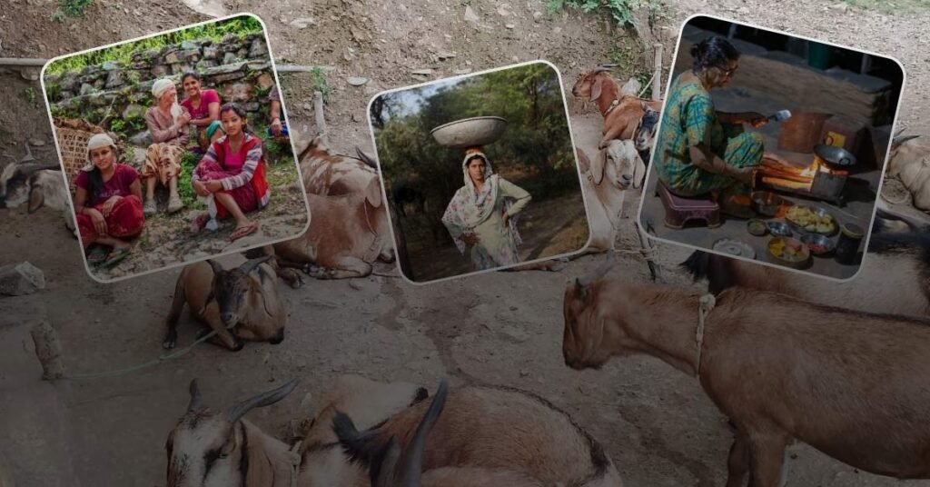 उत्तराखंड पशुपालन विभाग की योजनाएं 